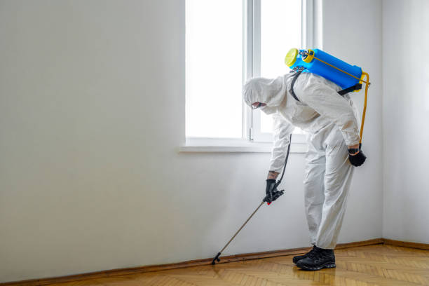 Best Cockroach Control Services  in Saranac, MI