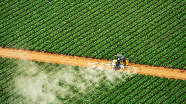 Best Commercial Pest Control Services  in Saranac, MI